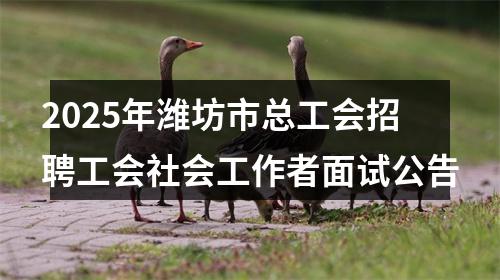 2025年潍坊市总工会招聘工会社会工作者面试公告 图片