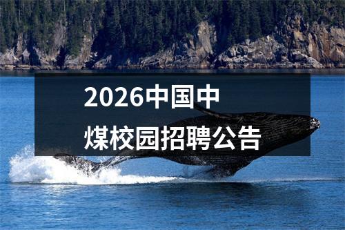2026中国中煤校园招聘公告 图片