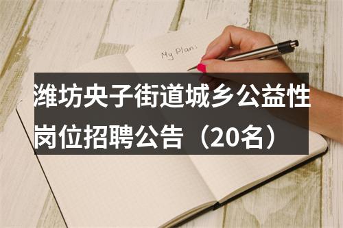 潍坊央子街道城乡公益性岗位招聘公告（20名） 图片