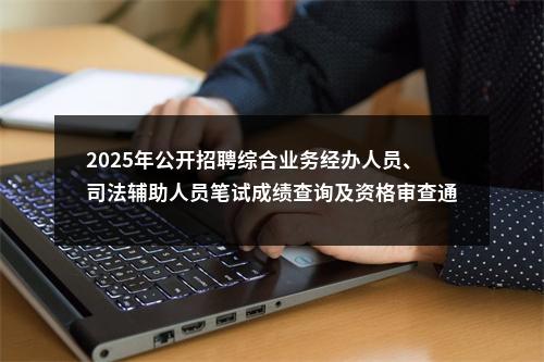 2025年公开招聘综合业务经办人员、司法辅助人员笔试成绩查询及资格审查通知 图片