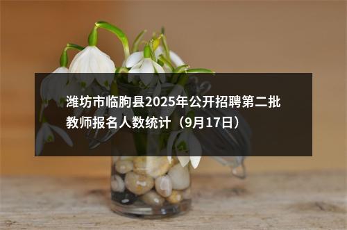 潍坊市临朐县2025年公开招聘第二批教师报名人数统计（9月17日） 图片