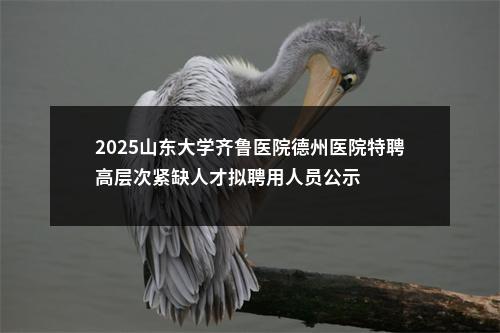 2025山东大学齐鲁医院德州医院特聘高层次紧缺人才拟聘用人员公示 图片