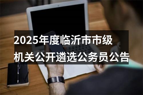 2025年度临沂市市级机关公开遴选公务员公告 图片