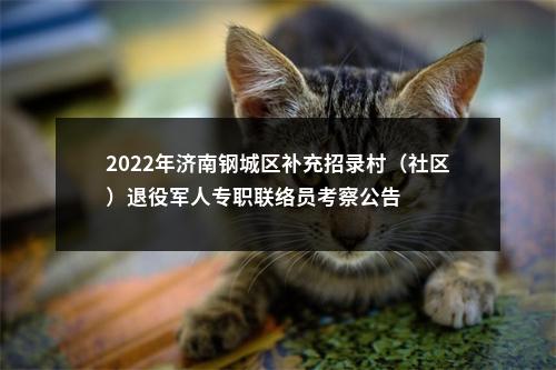 2022年济南钢城区补充招录村（社区）退役军人专职联络员考察公告 图片