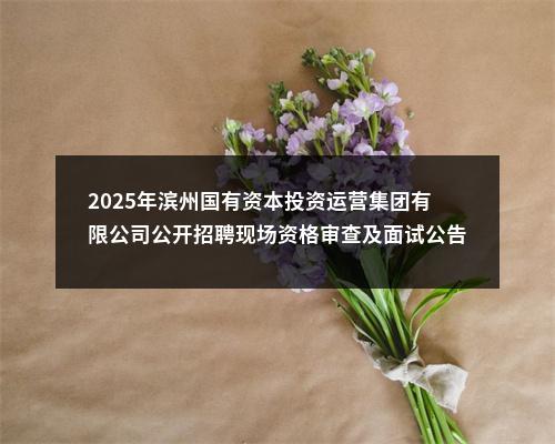 2025年滨州国有资本投资运营集团有限公司公开招聘现场资格审查及面试公告 图片