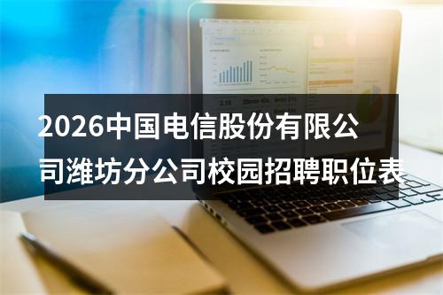2026中国电信股份有限公司潍坊分公司校园招聘职位表 图片