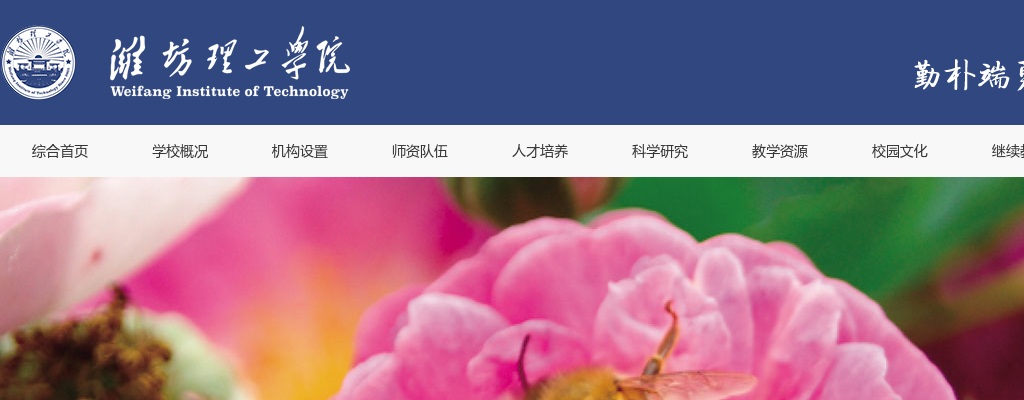 2025年聊城市市属事业单位综合类岗位“水城优才”优秀青年人才引进拟录用人员公示 图片